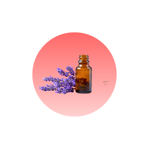 Rosemary & Lavender Essential Oils